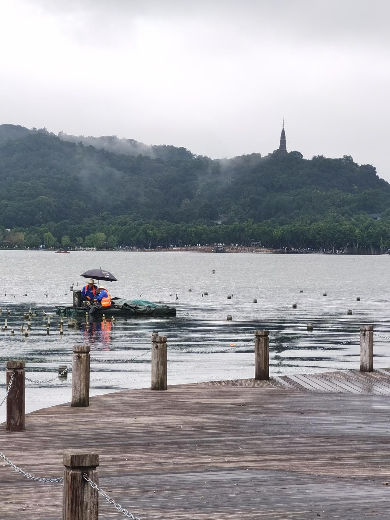 杭州西湖日，我来了。西湖就凭雷峰塔、保俶塔、白鹭就足以迎接我来了。