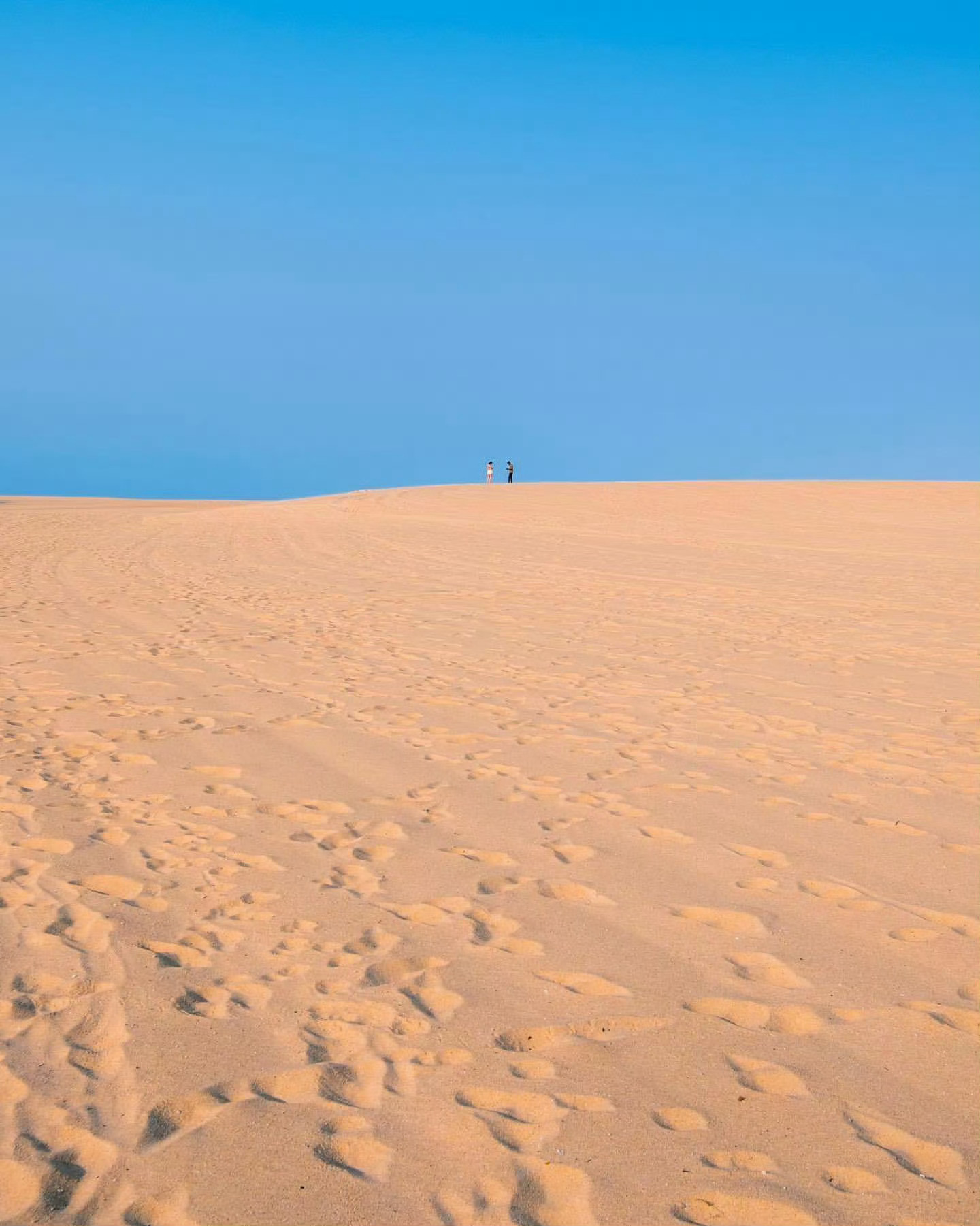 “人在夏天的任务就是过夏天” 