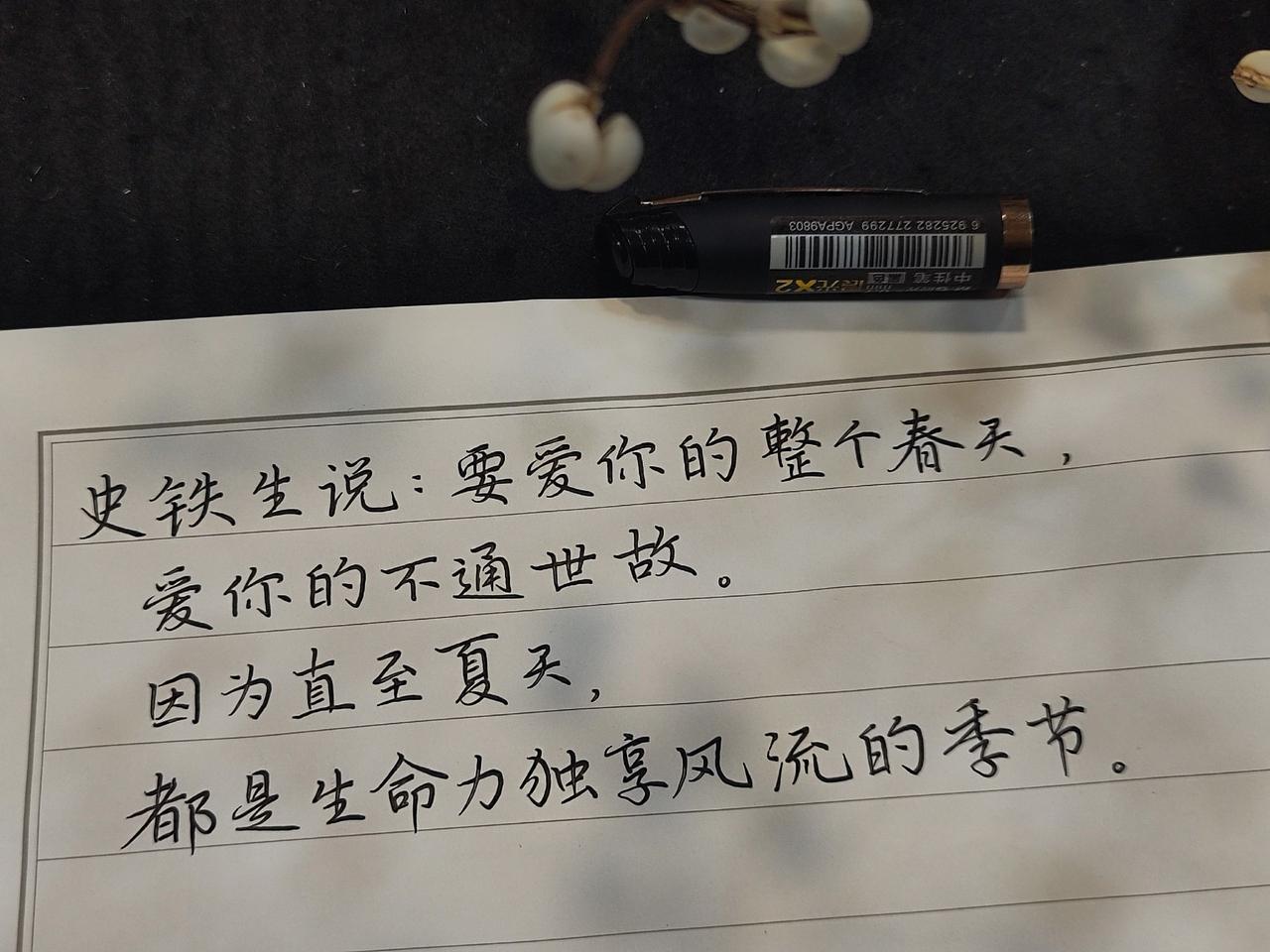 硬笔分享～史铁生 摘抄 练字 硬笔书法