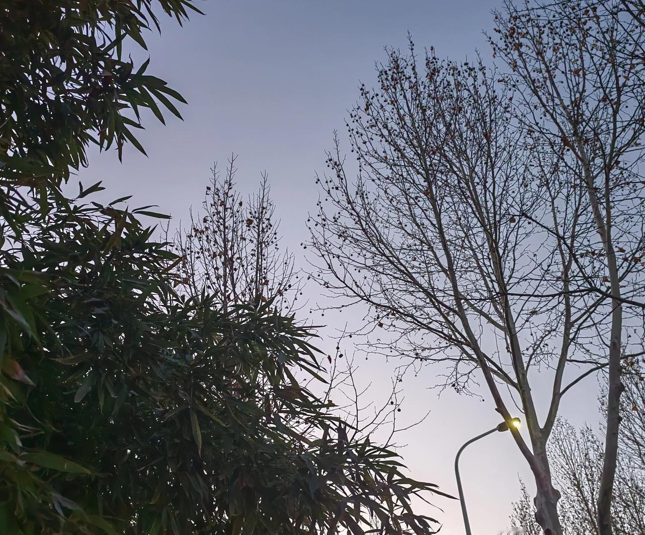 “总提拔不上去”者当顺其自然，不要有“放弃”心理，不要有怨气，不要工作“躺平”，