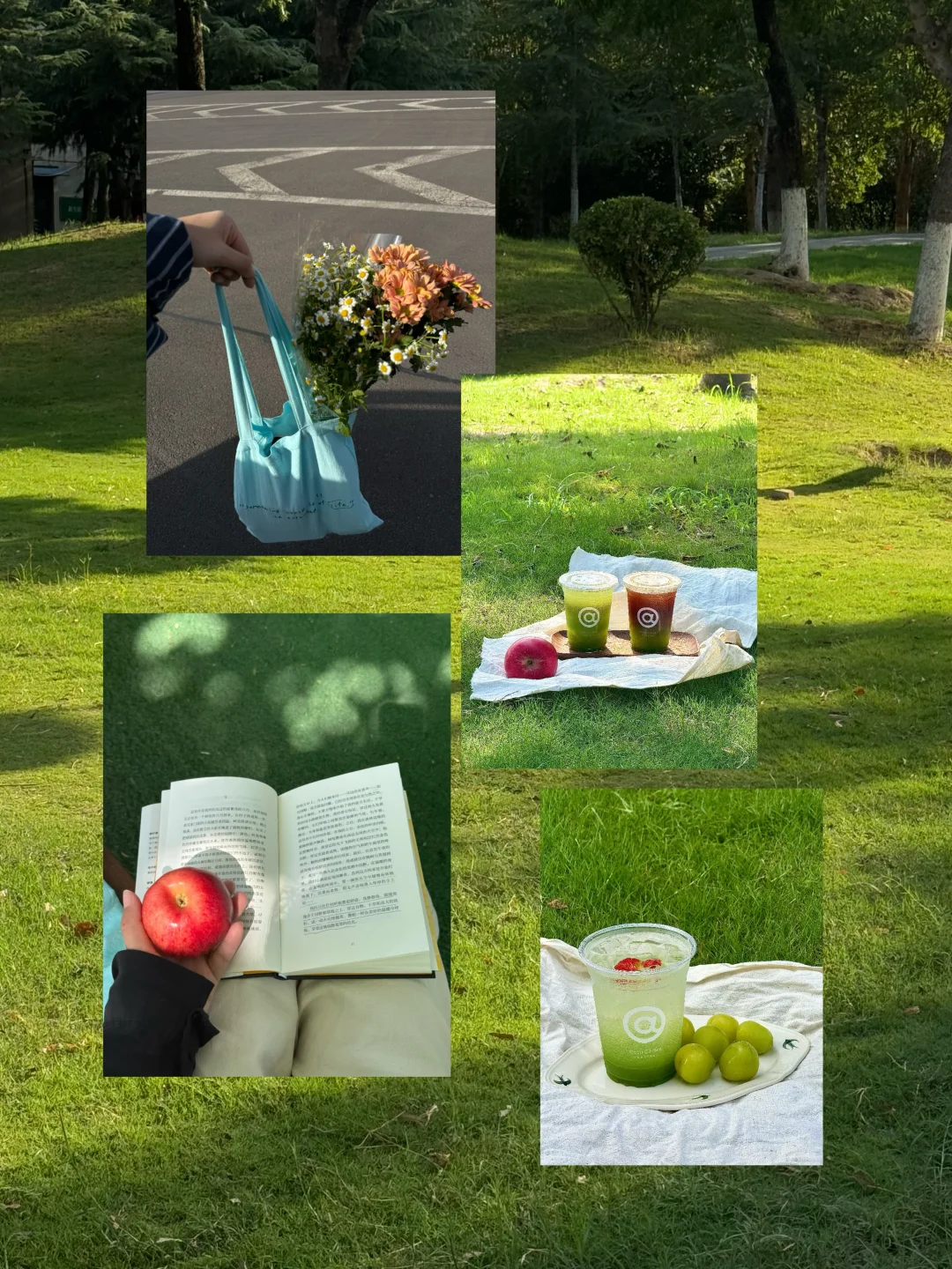 如果情绪生病了，就晒太阳、散步、逛公园。