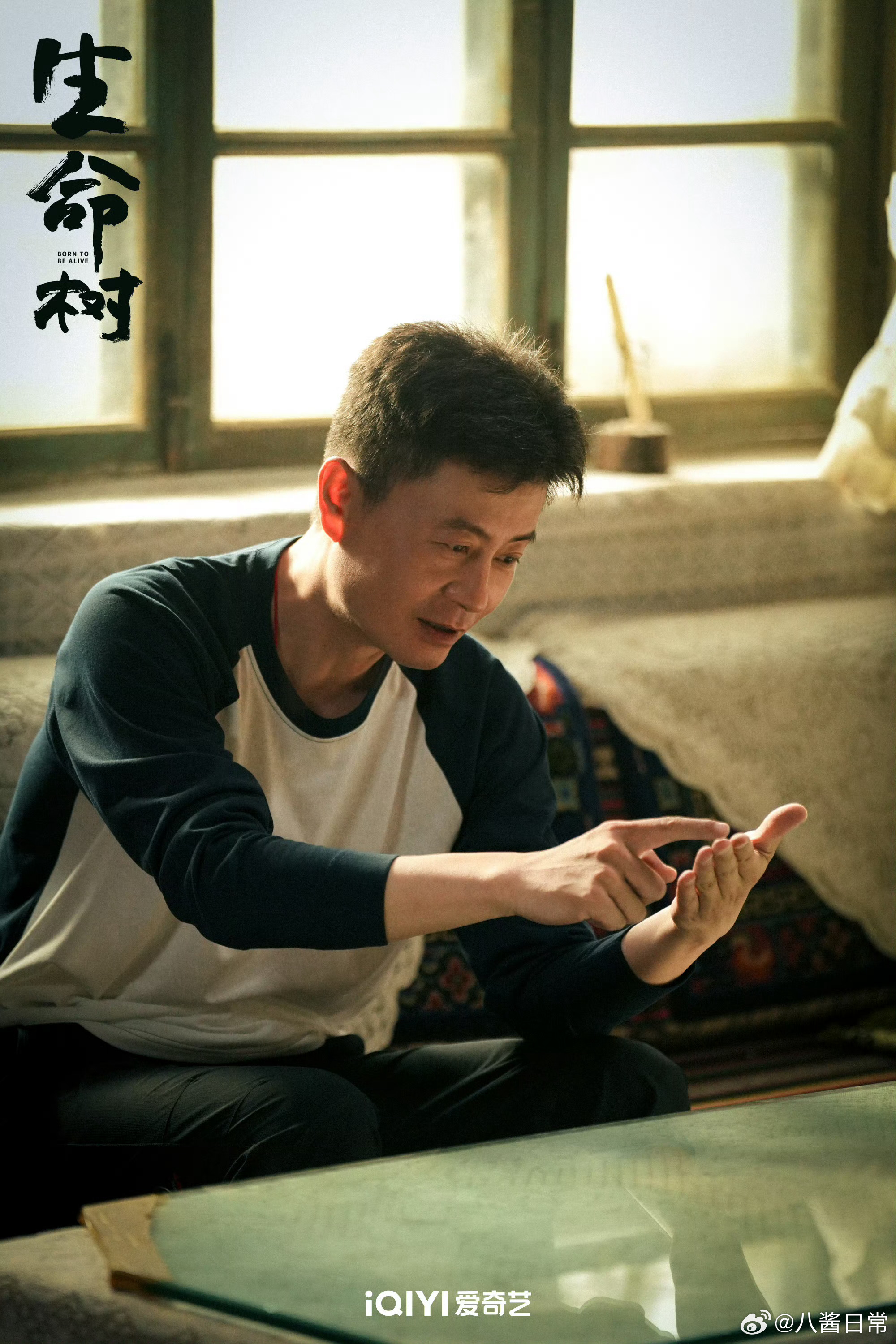 第31届白玉兰最佳导演：李雪《生命树》生命树白玉兰最佳导演白玉兰获奖名单