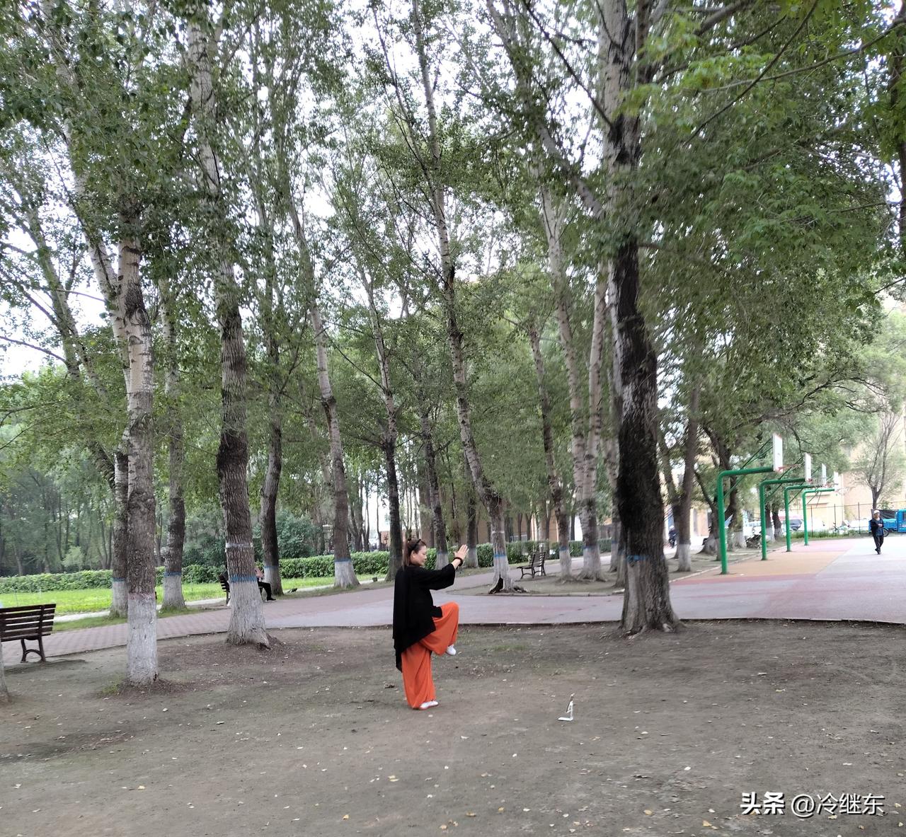 台风白海豚并没有影响到我的生活，因为我所居住的城市是黑龙江省肇东市。这里属于松嫩