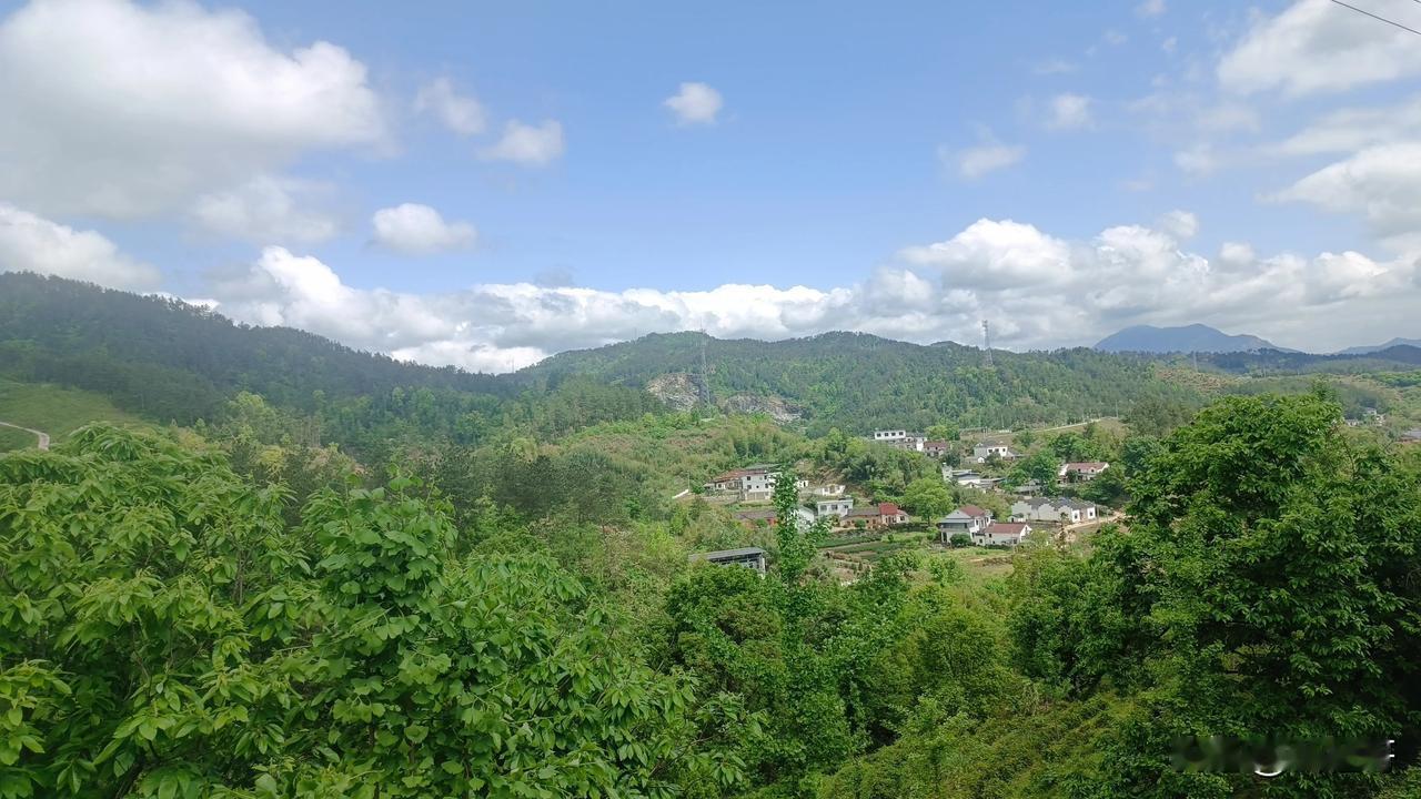 今天到痘姆乡求知村周边调研，发现一处旅居康养与自然打卡的理想之地--求芝湾。求知