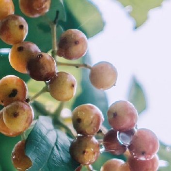 每日一善‎每日一善 ‎阳光‎信用  生活总是这样，不能叫人处处都满意。但我们还要