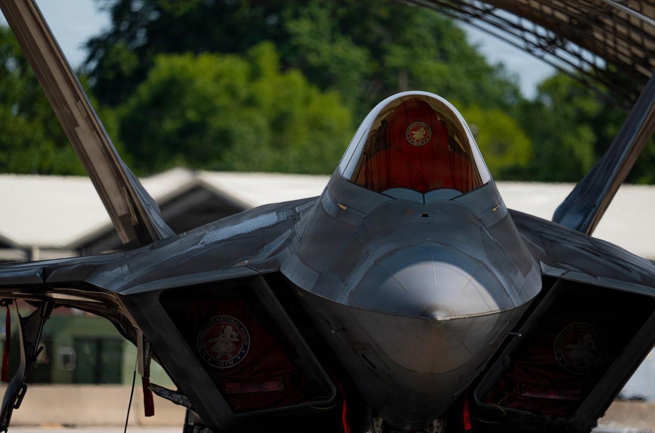 猛禽剪影
3 ​​​