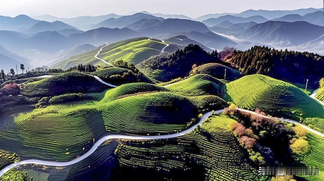 - 云峰茶谷 ：这里茶树茂密，形成天然遮阳网，结合林间住宿，能让游客在青山绿水间