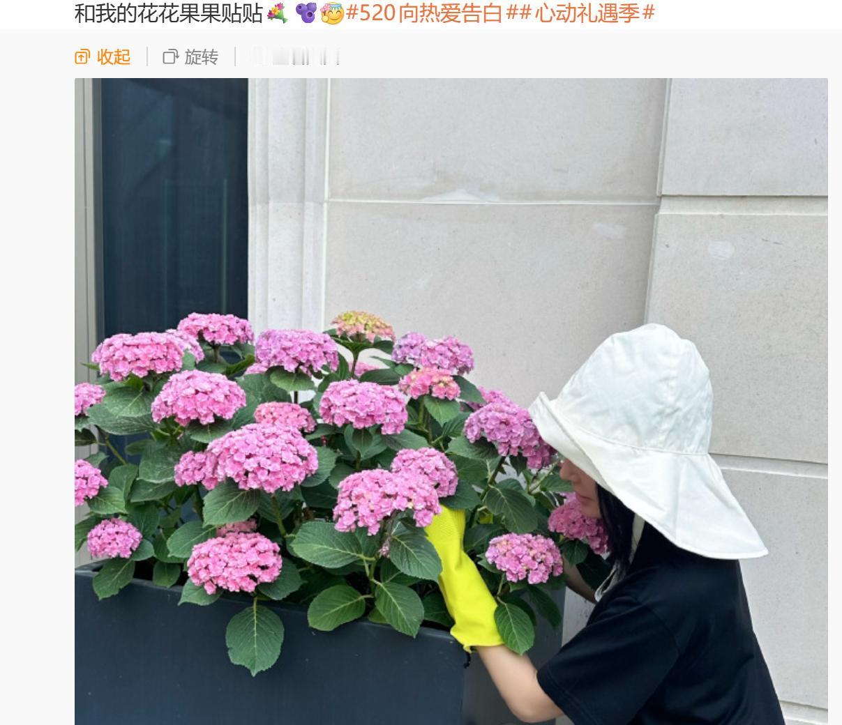 秦岚520晒院子日常，

最舒服的不是照片

是她终于活成了自己想要的样子

5