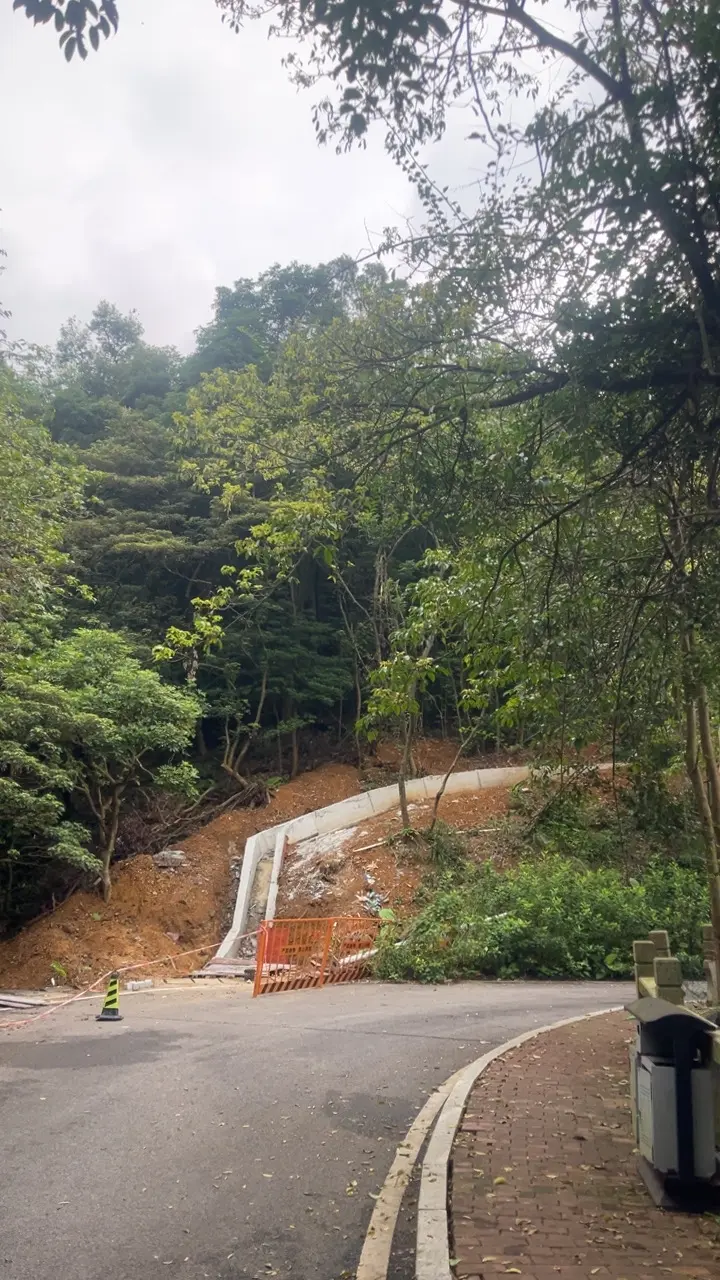 探访园山大山深处自然美