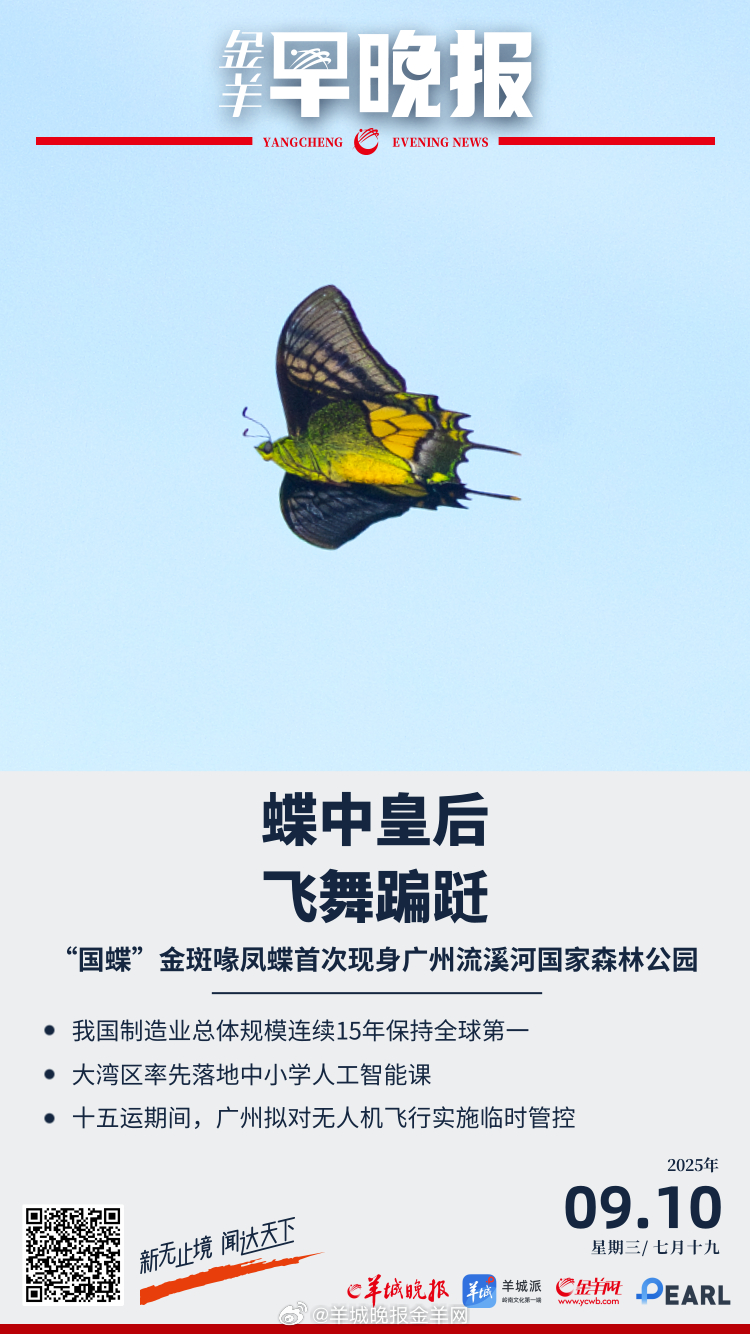#金羊早晚报##教师节#   首次！“国蝶”金斑喙凤蝶现身广州流溪河国家森林公园