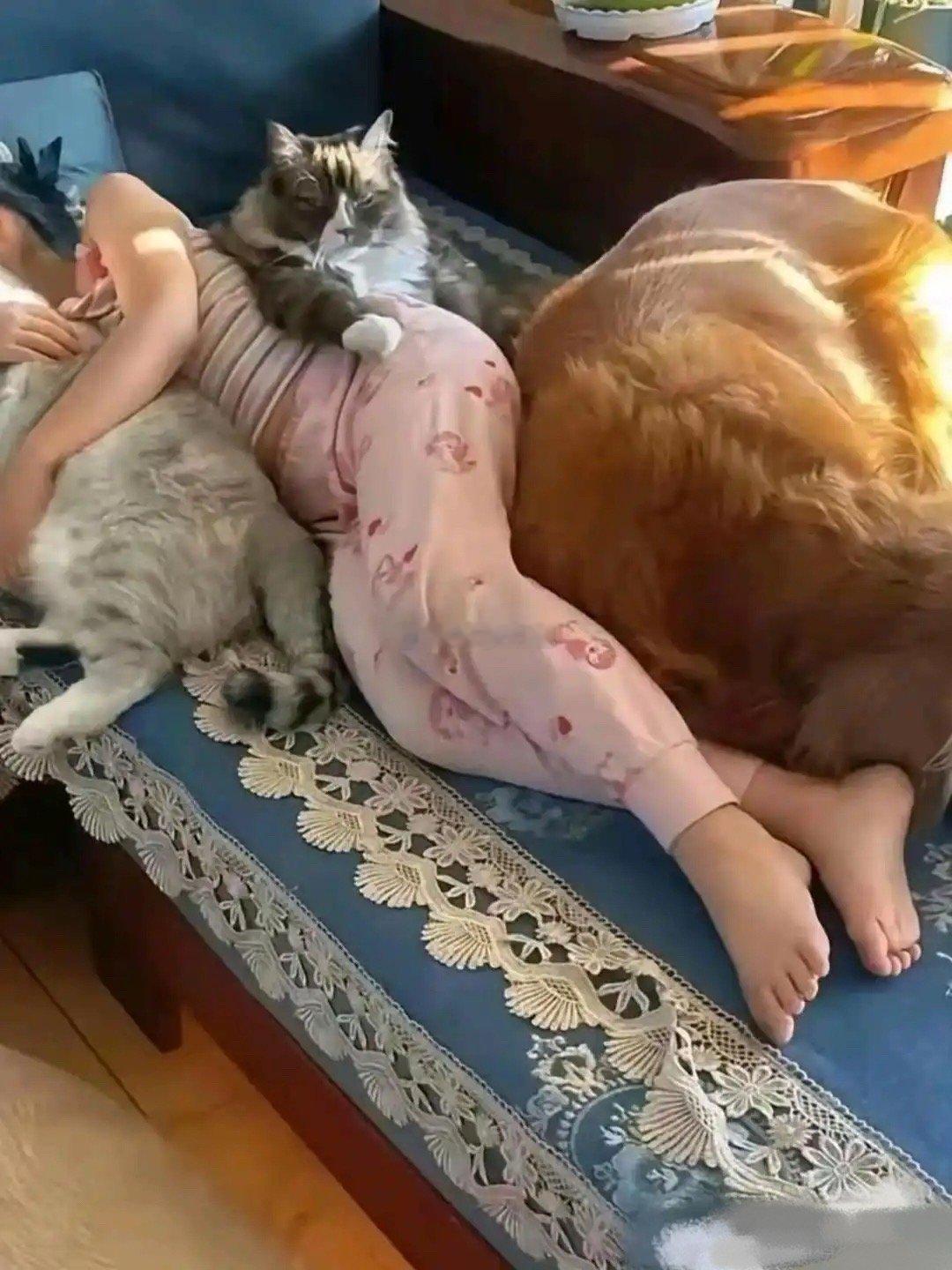 这屋子不晓得有多臭… 