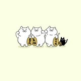 蓝天胖侃侃科技