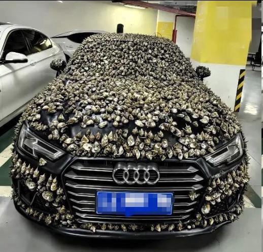 “一分钱不要，也得让你长记性！”业主车位被霸占10天，一怒之下做了这种事。他没有