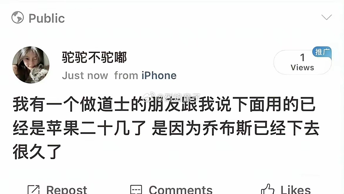 这么牛逼吗，我也想用苹果20几，可我不想死啊