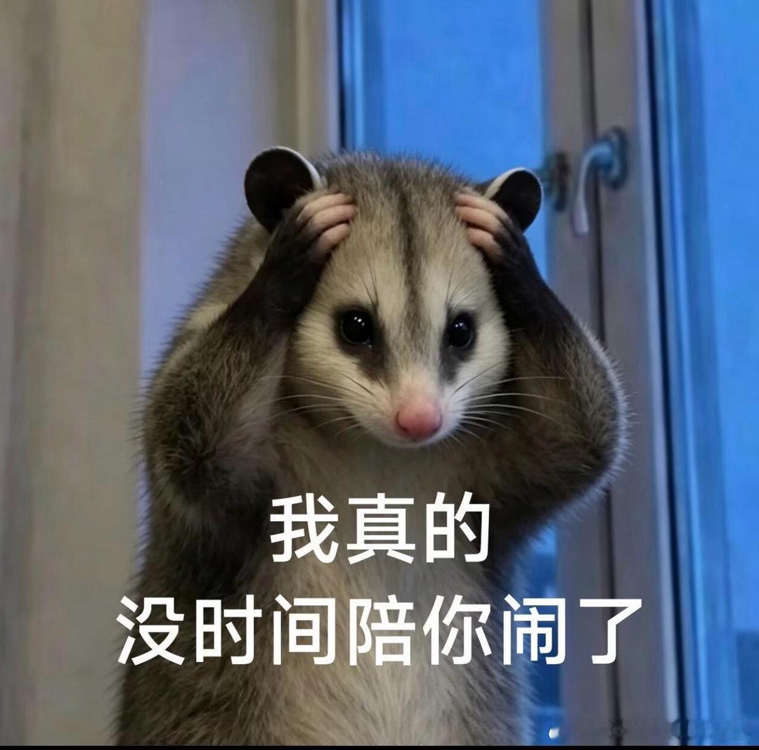 有时候刷到粉丝言论真的令人发笑，一个演员不比演技不比实绩不比国民度，而去张扬什么