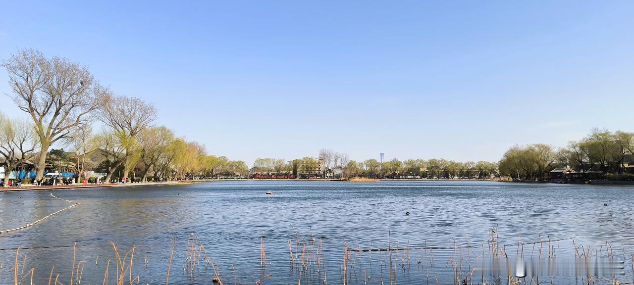 #你用一句话评价中国股市#注册制的实施需要对财务造假欺诈发行和完善的退市制度保障