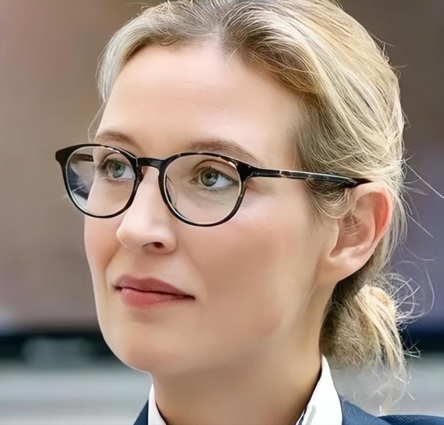 当冯德莱恩还在坚持强硬援乌立场时：魏德尔的话如一声惊雷震响欧洲政坛！

德国选择