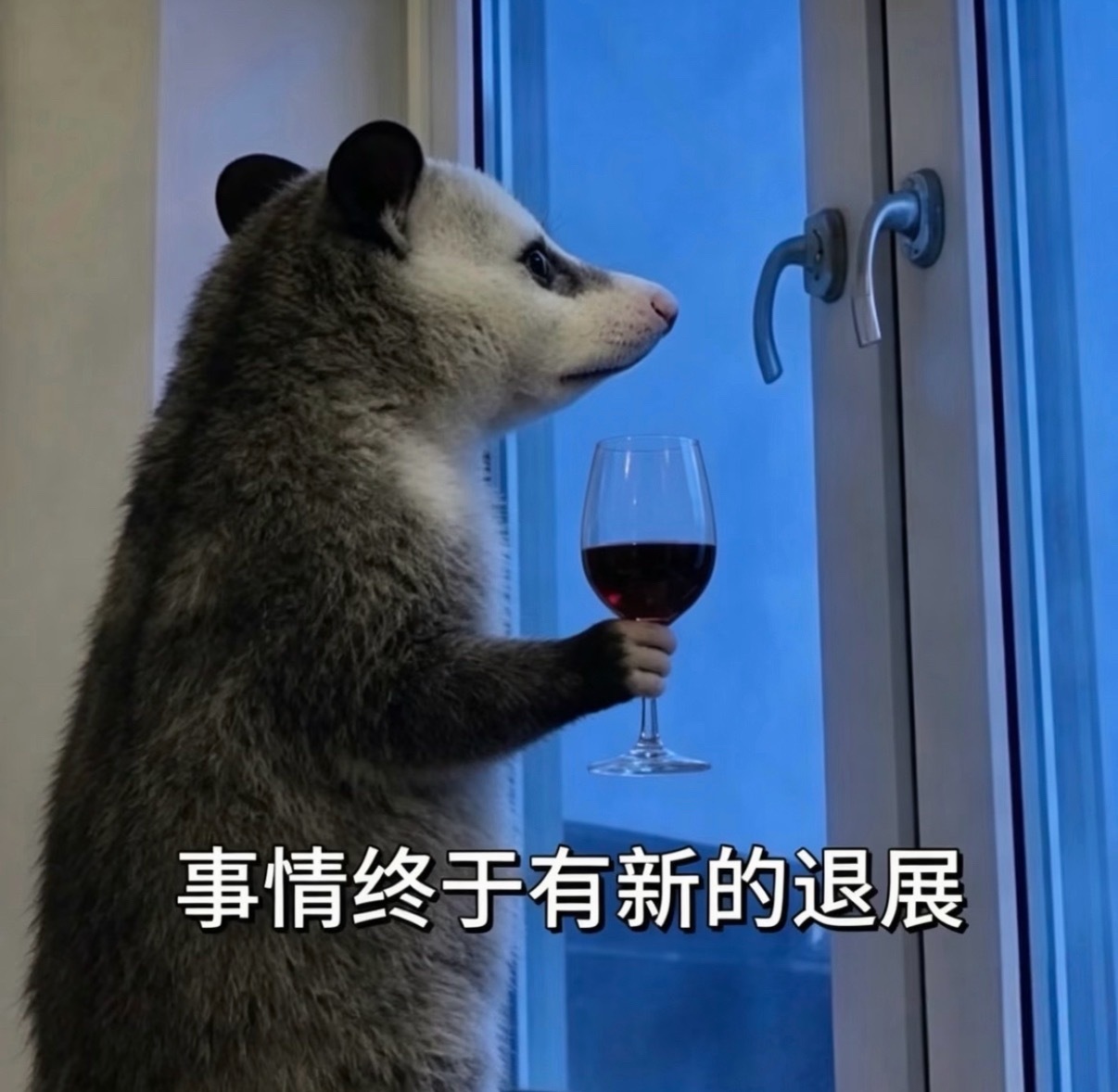 啊啊啊我朋友圈里最好看的女生找了个长相一般的老公生了个巨丑的完全没遗传到她一点点