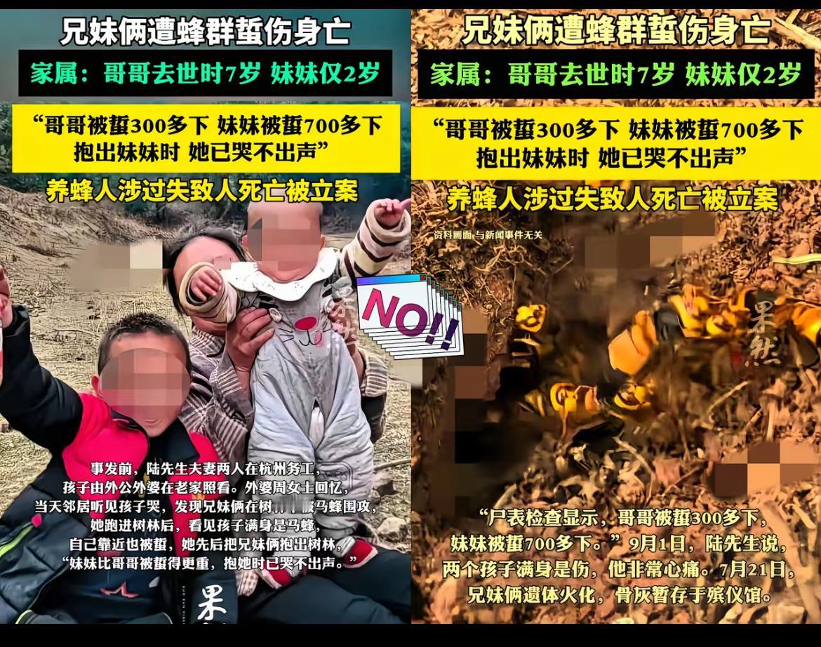 太痛心了！云南牟定，7岁哥哥和2岁妹妹在外婆家附近玩耍时，竟遭大群马蜂袭击！两个