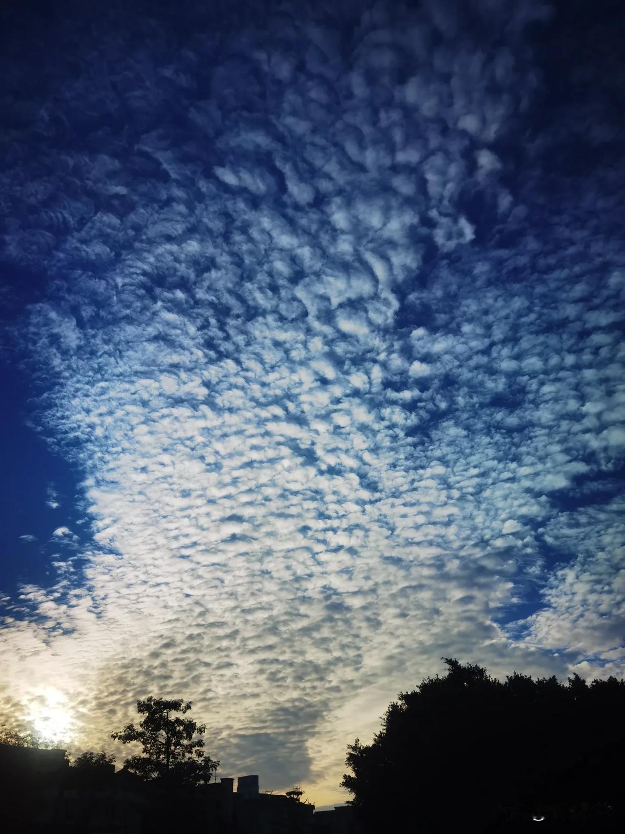 晒图笔记大赛逆光拍天空，树影婆娑中透出光，呈现不一样的美！[比心]