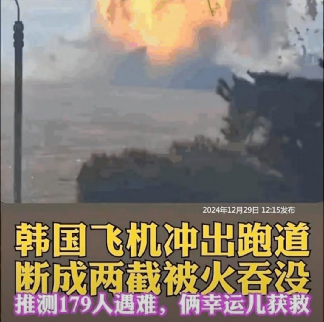 今天韩国出事的这架飞机本可以没事的！降落时与鸟群碰撞，起落架被鸟卡住打不开，这些
