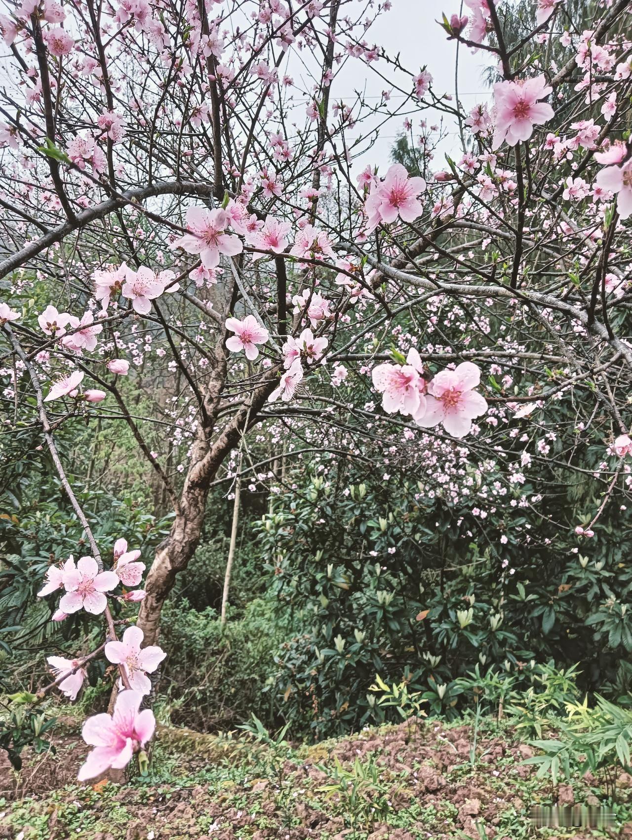 也不知道写啥
就是心里有点堵得慌
坐下来发几句牢骚
 
日子过得稀里糊涂
上班累