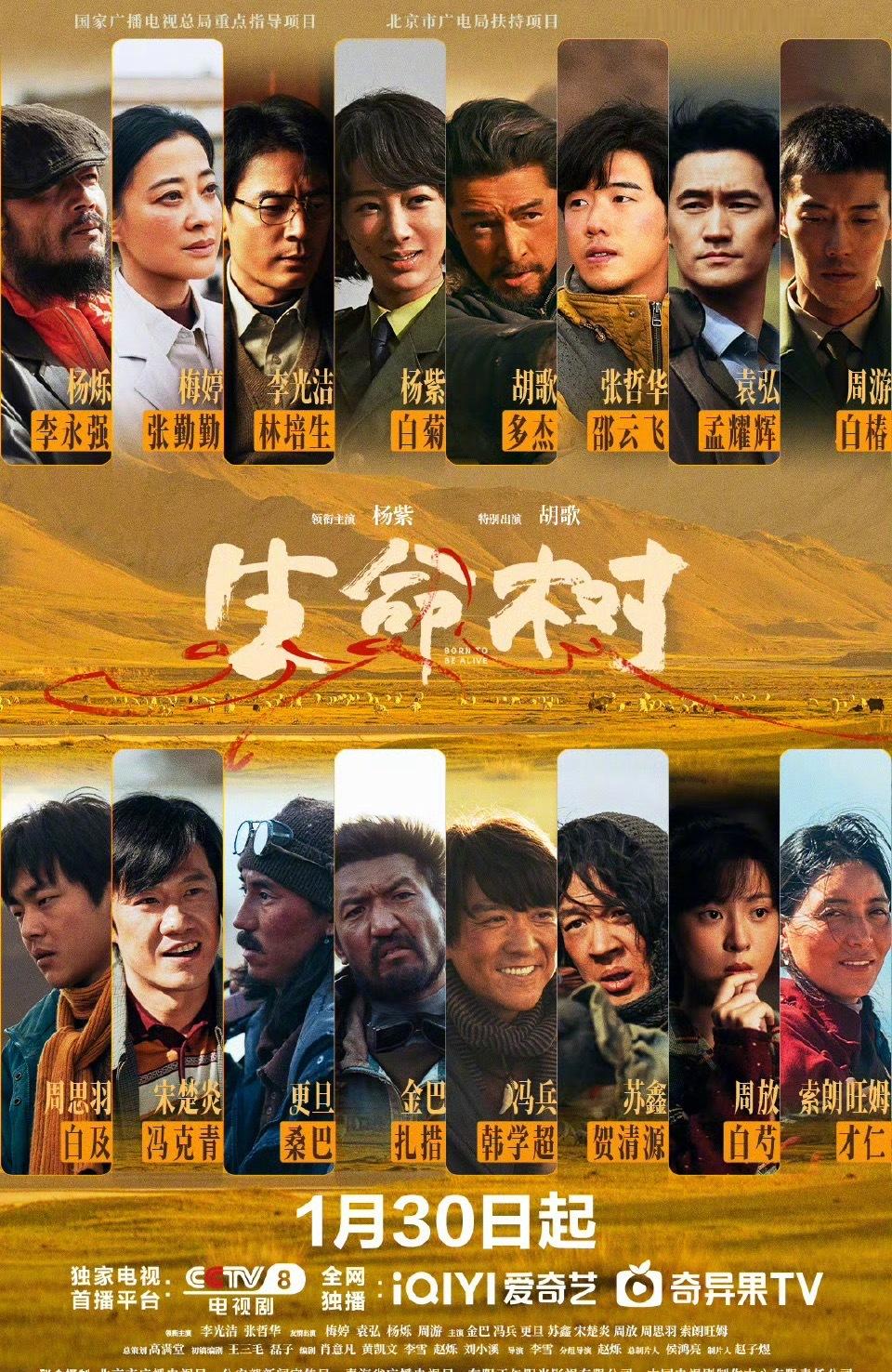 杨紫胡歌《生命树》终于定档了！ 