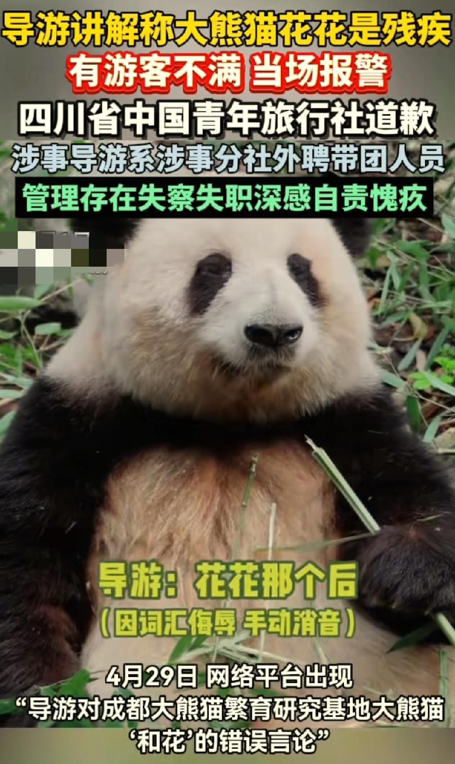别再瞎传了！
“花花”是只健康的熊猫。
近日一名导游再给游客讲解时，
先是说花花