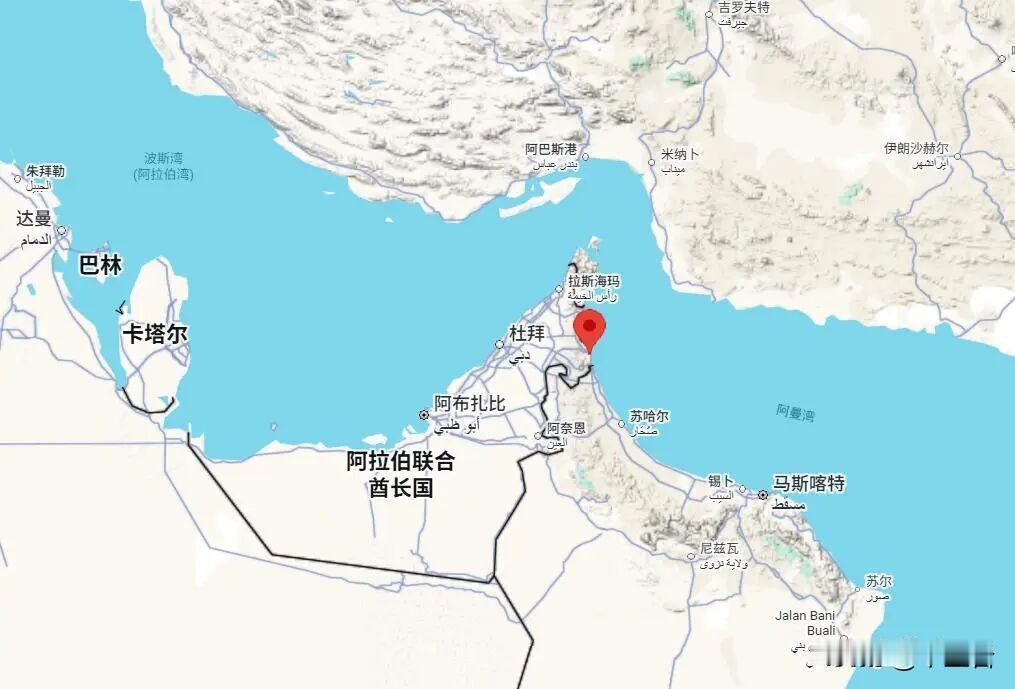 阿联酋决定搏一把帮帮老川普。
今天阿联酋宣布退出欧佩克组织，退出欧佩克和其他产油