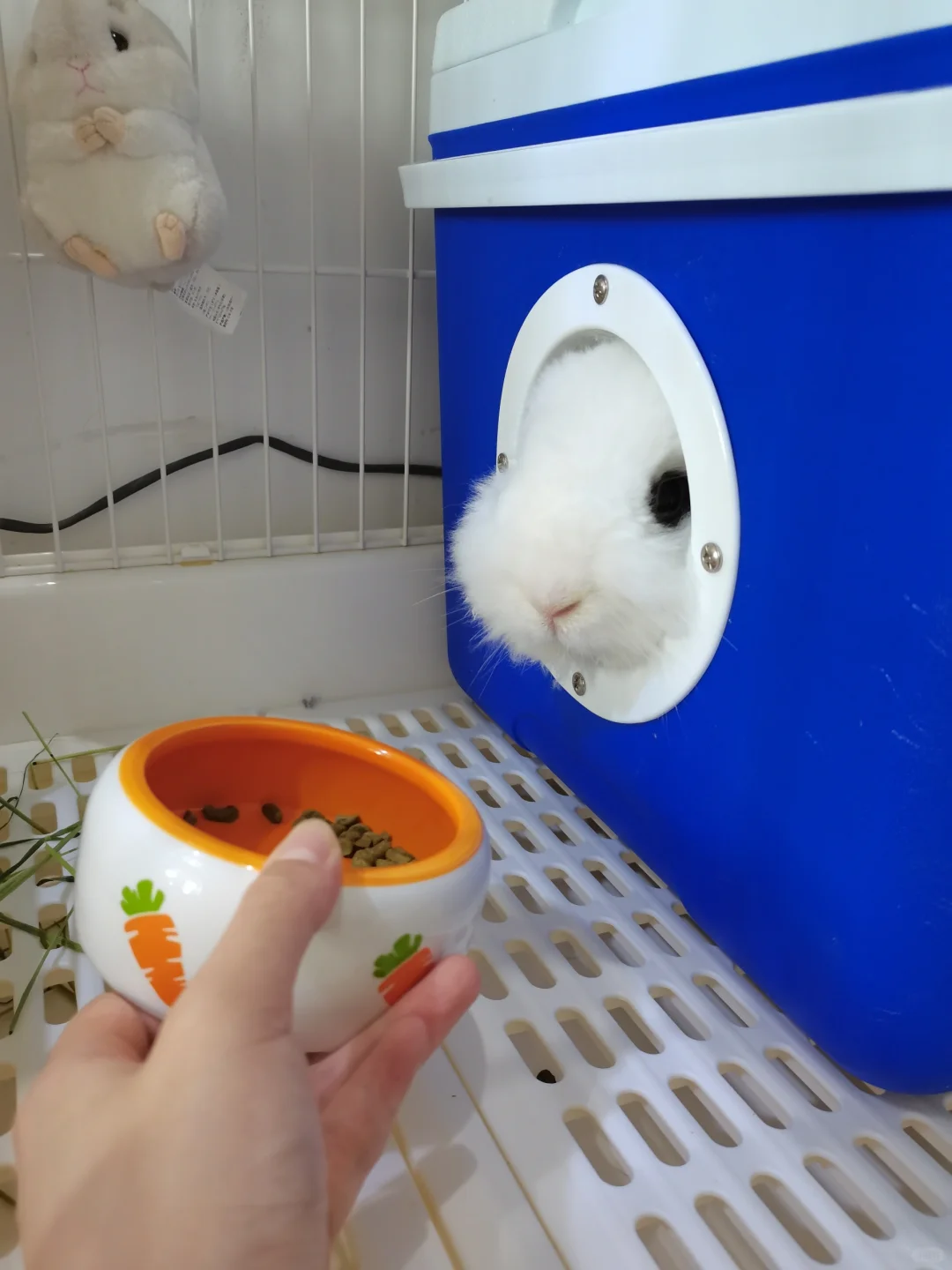 小宝: 就不能把粮端进来给朕么？