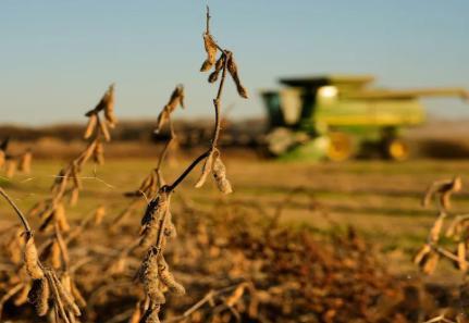 【中国实现了最初的大豆采购目标，但特朗普不断变化的贸易政策可能会破坏协议】（美联