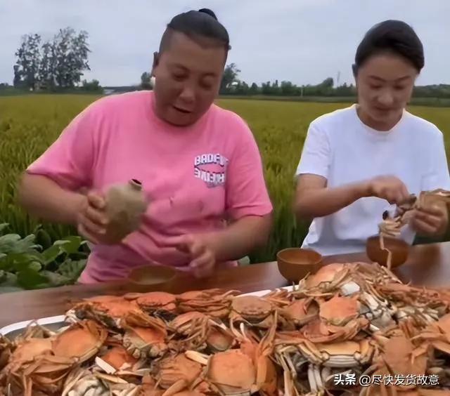 东北雨姐与小杨哥都败给了董宇辉，尤其是小杨哥身高相貌都在小董之上，但有三个差距，