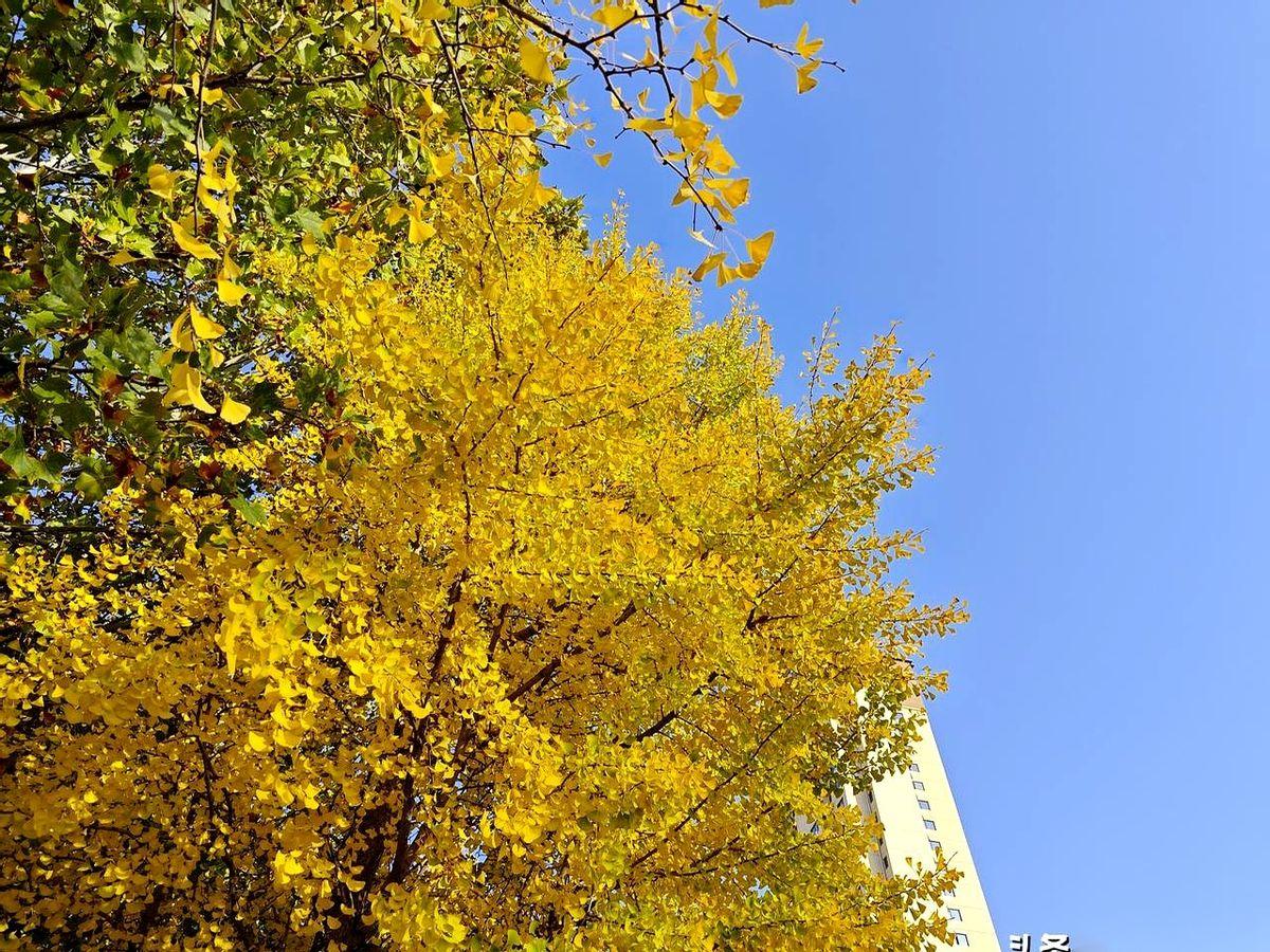 有些男人的爱，是限定版的，演给你看，也演给别人看。
我们学校有个大姐，当年出车祸