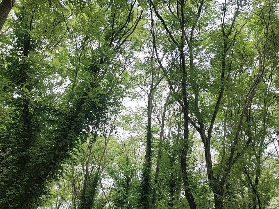 分享一下你随手拍下的照片