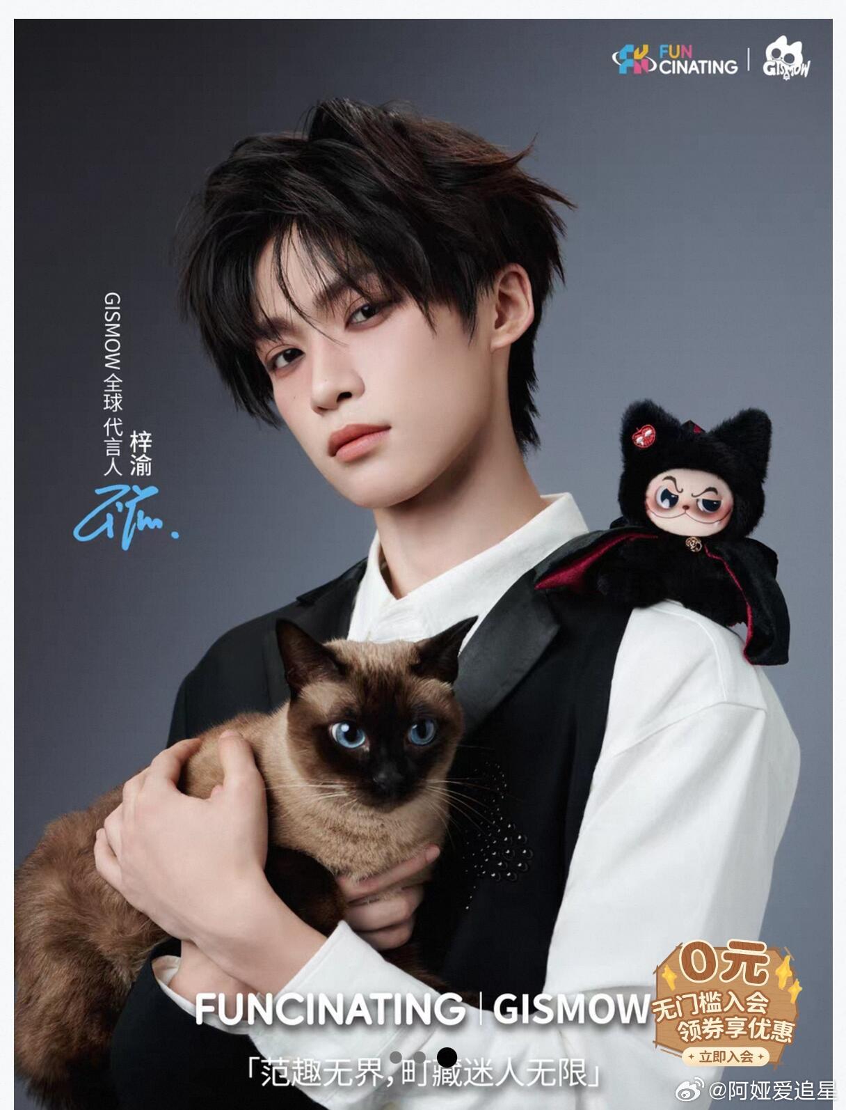 梓渝与暹罗猫！萌中带酷，酷中带萌[偷笑]梓渝退股名下经纪公司 ​​​