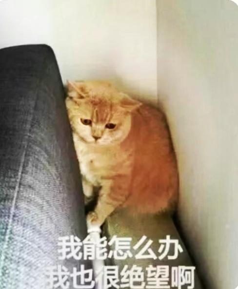 “官方推荐话题”为什么没流量？

官方每天有话题，每天雷打不动推荐条友解题。据条