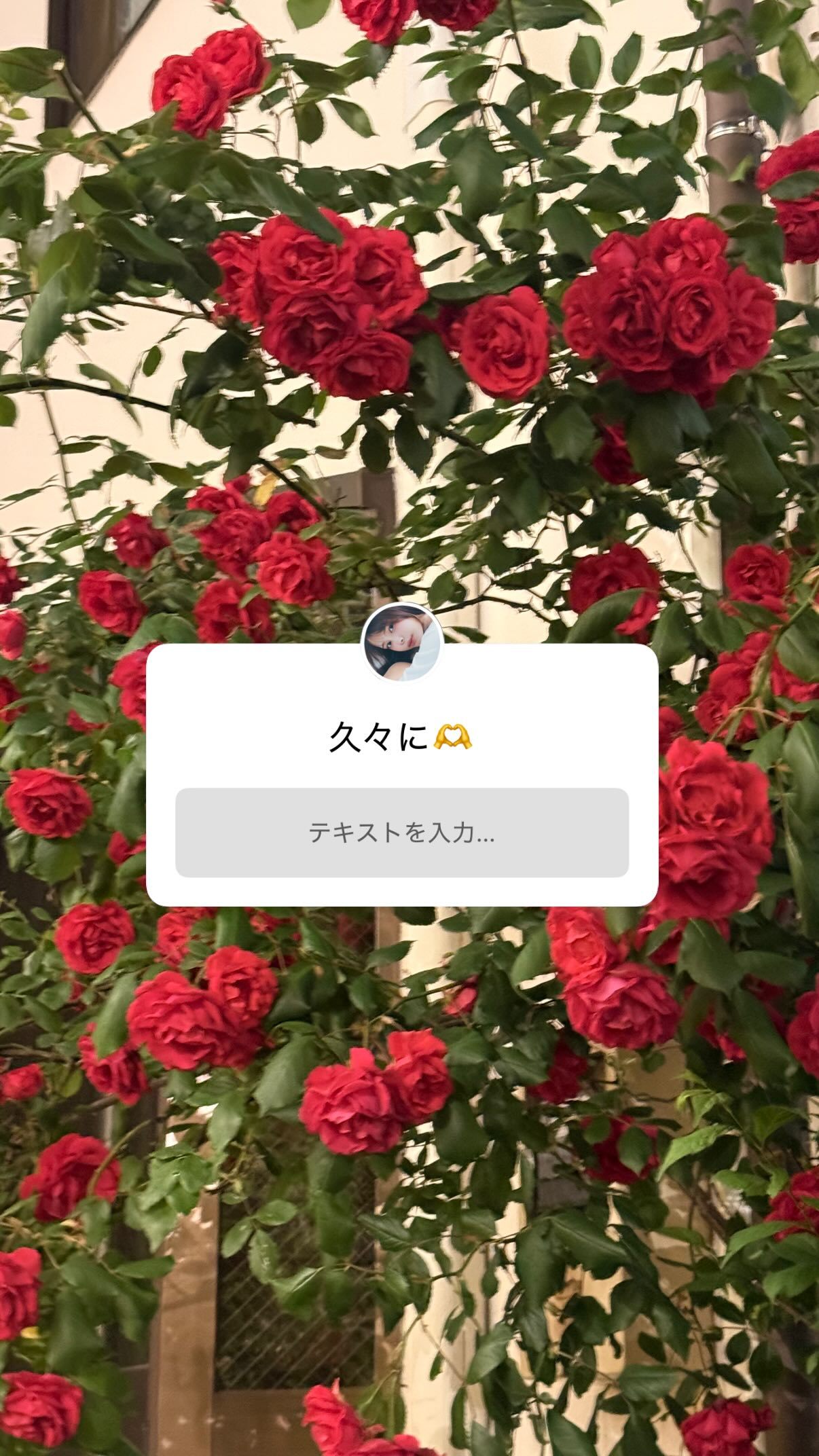 宮崎亞美紗（ins 快拍 