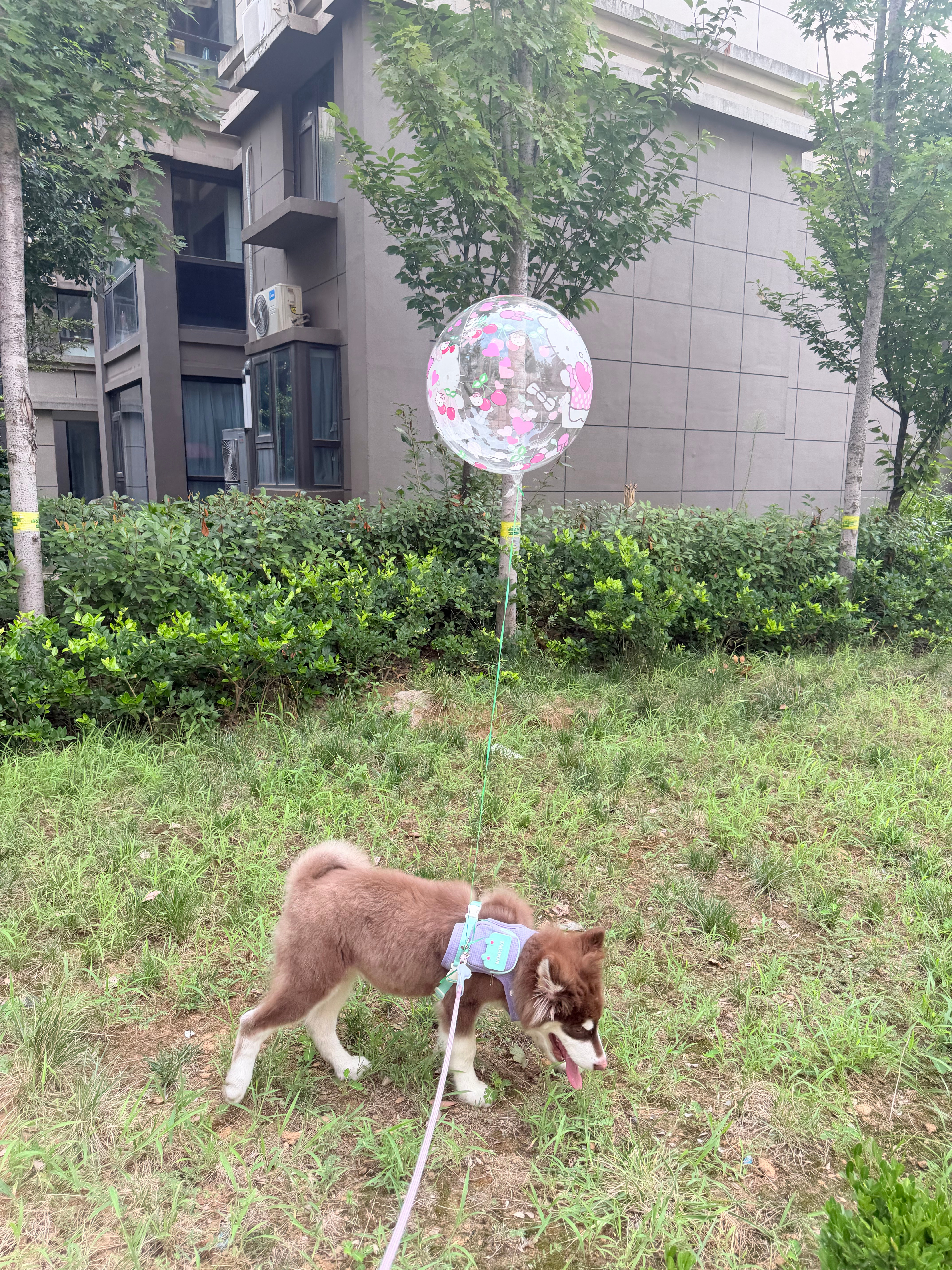 分享图片  ​​​