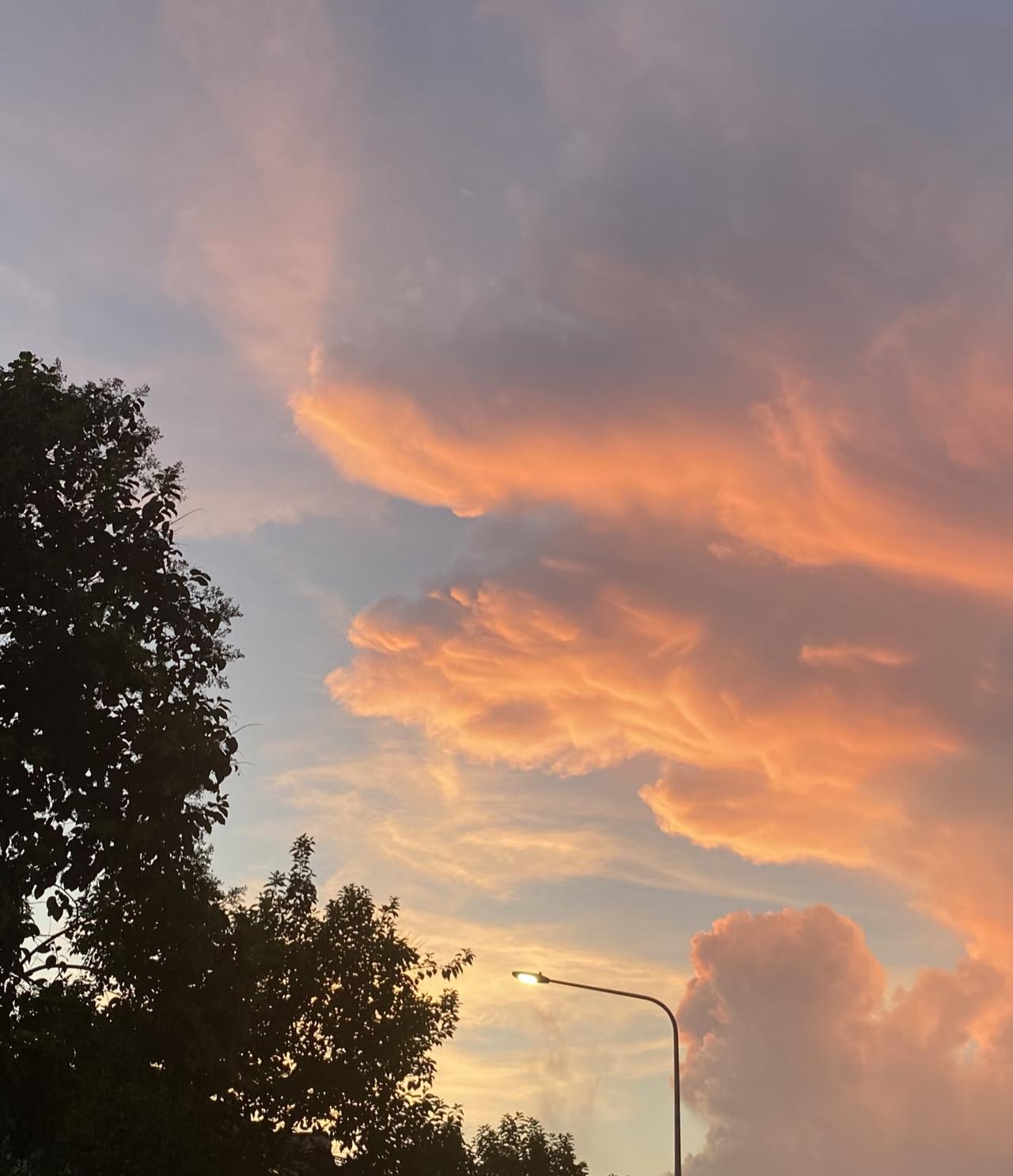 这场橘色的浪漫。
云朵像被打翻的调色盘，在暮色里晕开温柔的光。路灯刚好亮起，和天