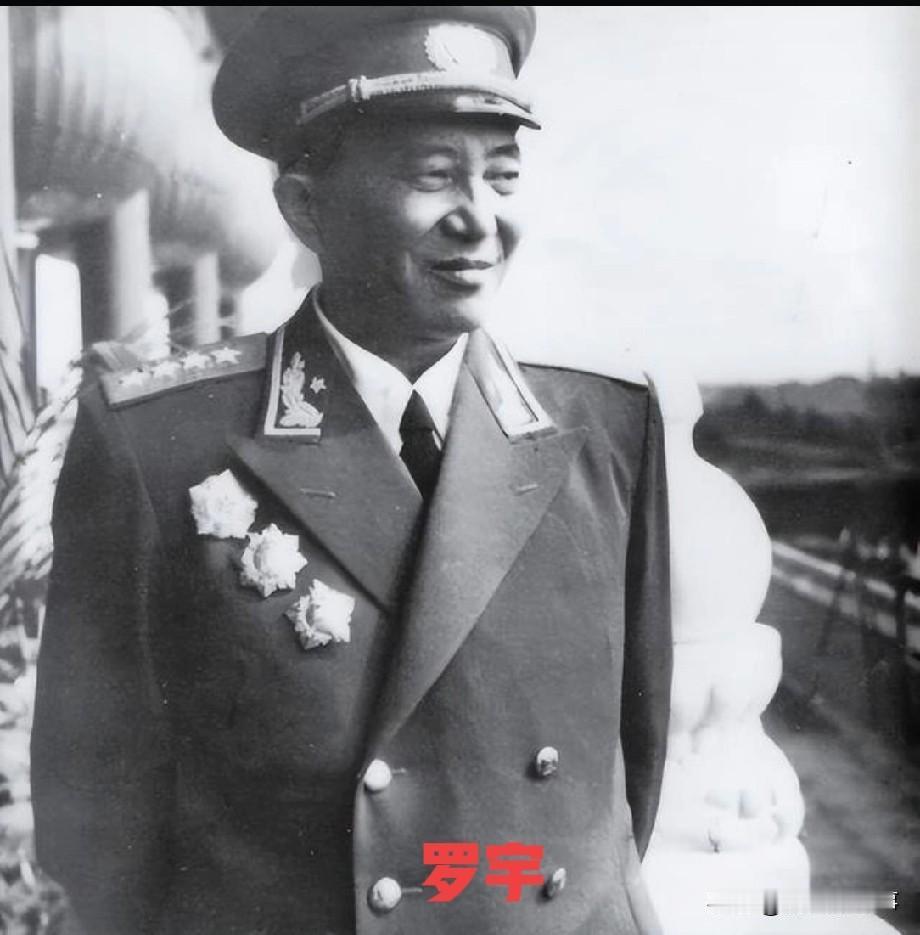 这个男人叫罗宇，他不仅是开国大将的儿子，还是清华大学的高材生，此外他还在总参谋部