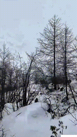 姚琛西藏徒步包成粽子就开播了 姚琛用实际行动证明，爱豆也可以很硬核。海拔4000