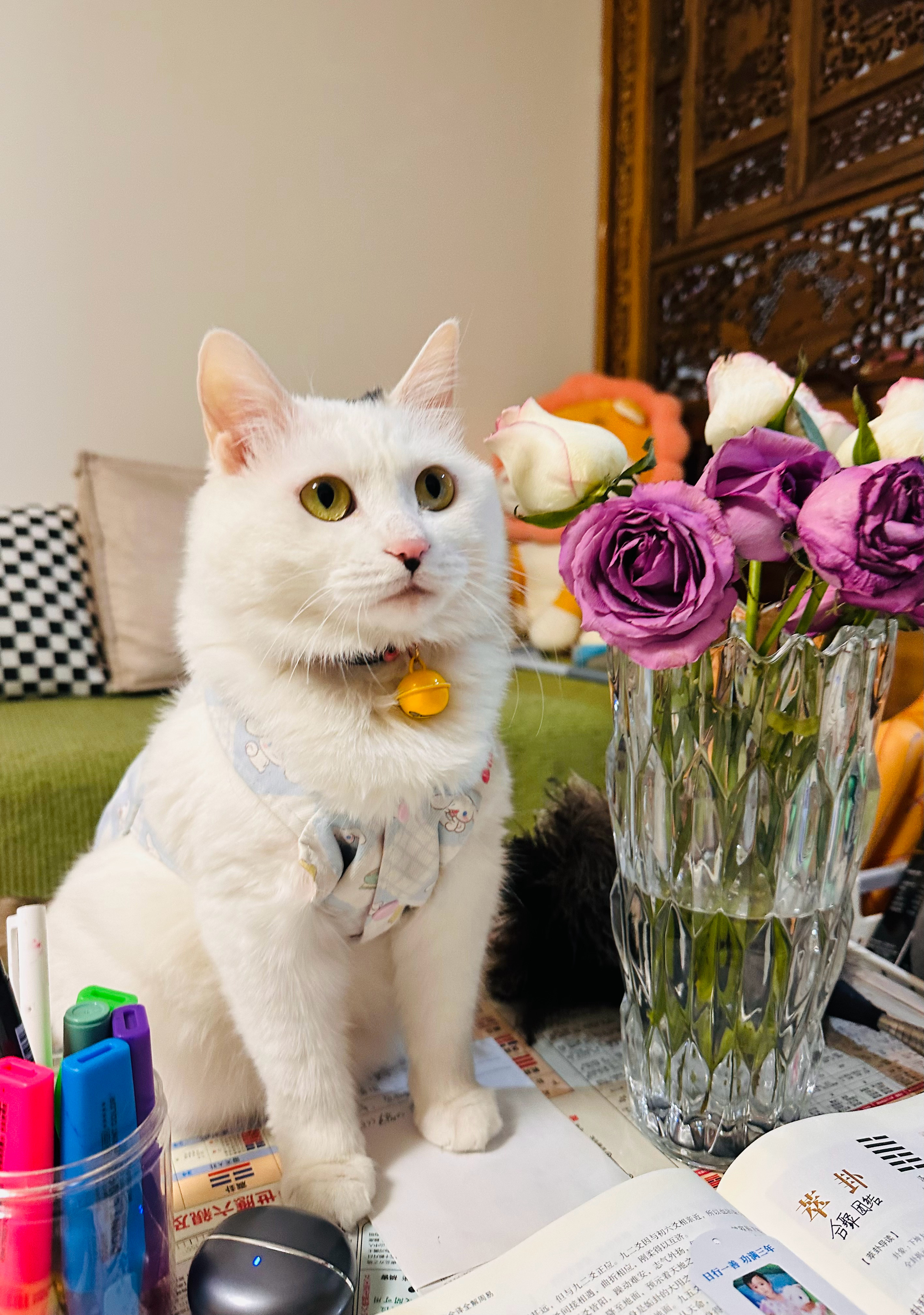 吉凶不在状况，而在如何应对。 