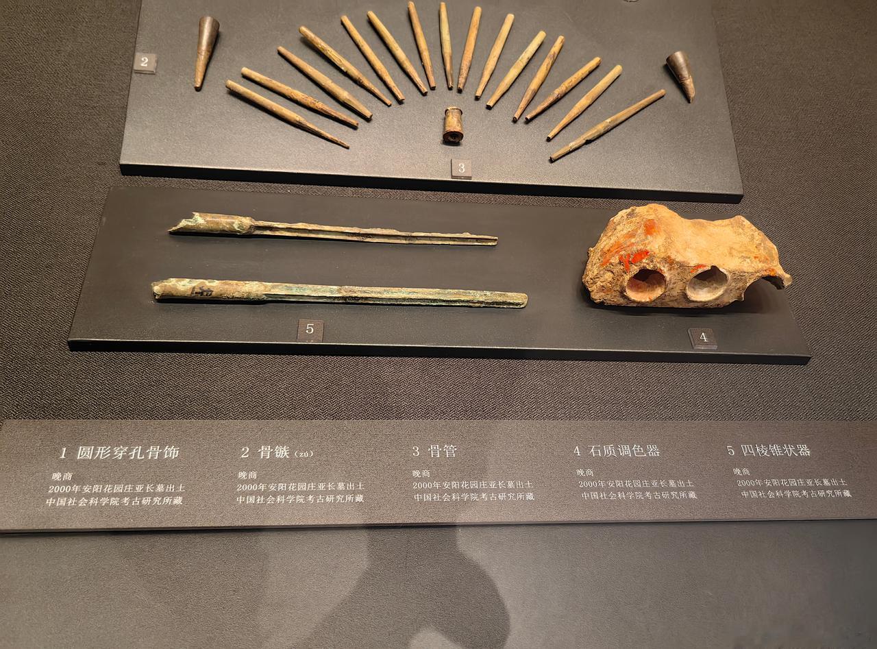 长从何来15 ​​​