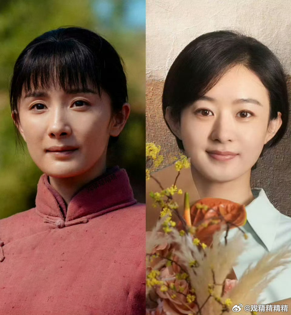 2026白玉兰提名名单预测生万物云合集均4000＋小城大事集均1000＋，蜜蜂说