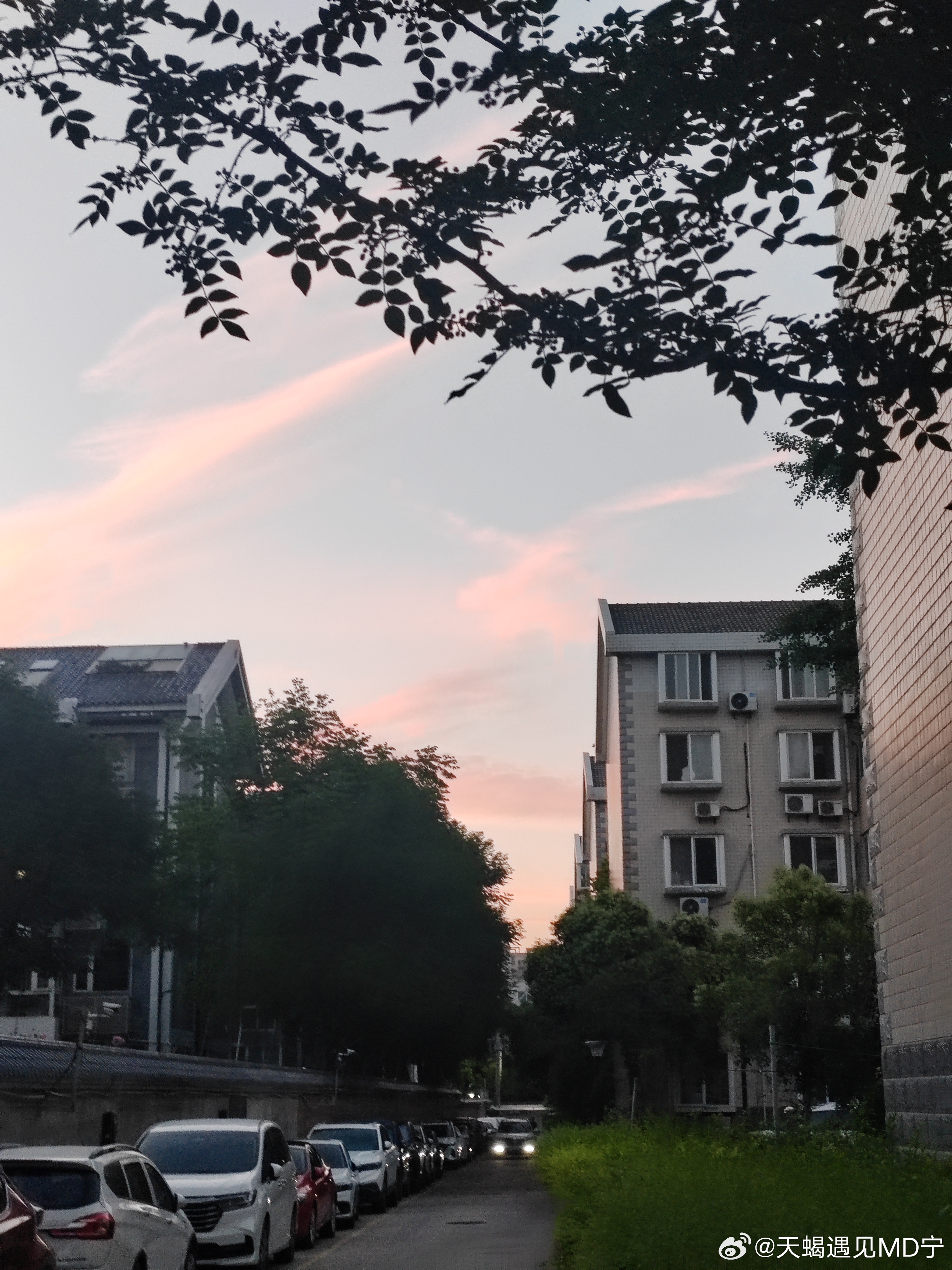 早安｜早安｜ 早安中国早啊！活在当下，把握每一个机会，让每一天都充满希望和动力！