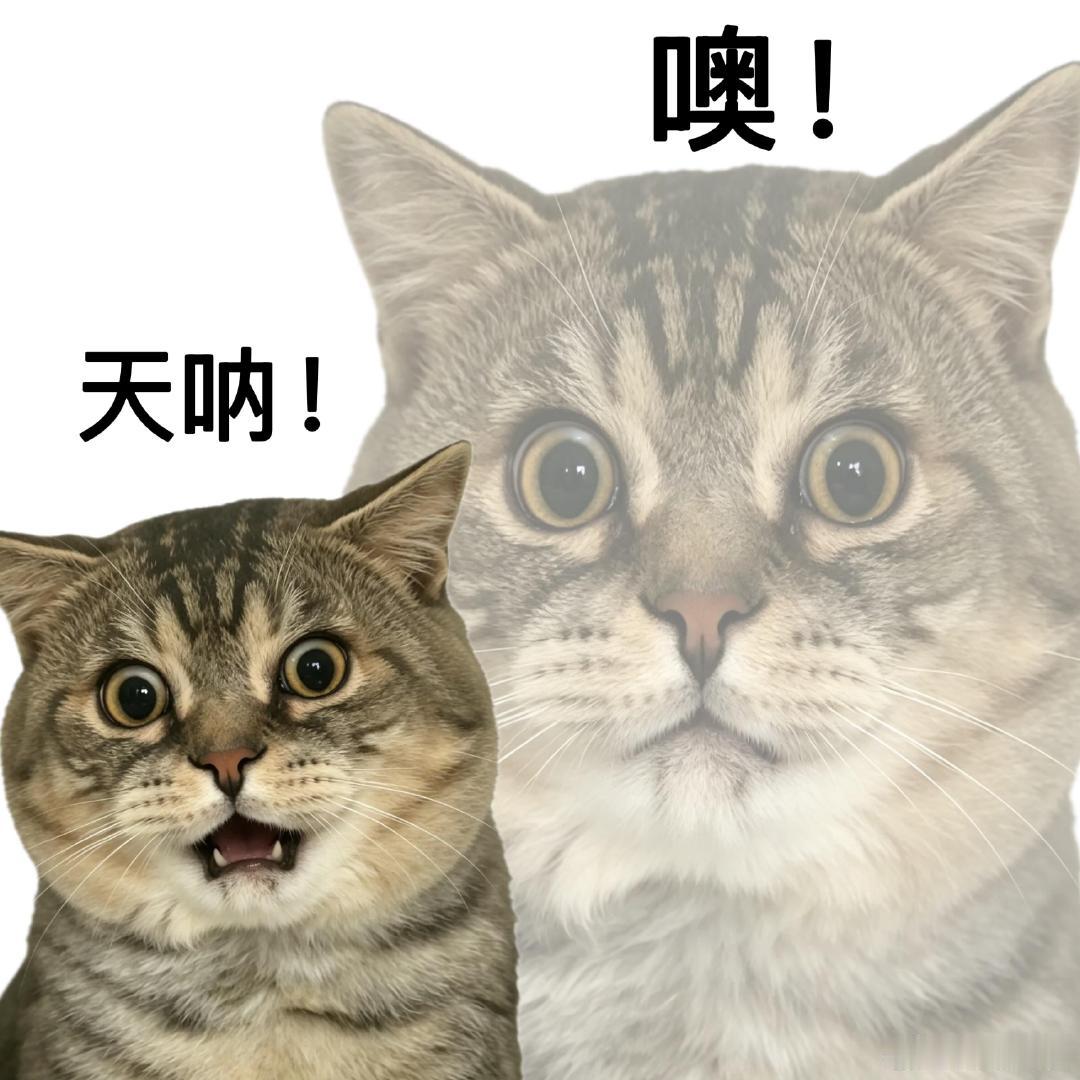 谁把表情包挂摩天轮上了 周边居民晚间散步多了新去处，不再只有单调湖水与路灯，高空