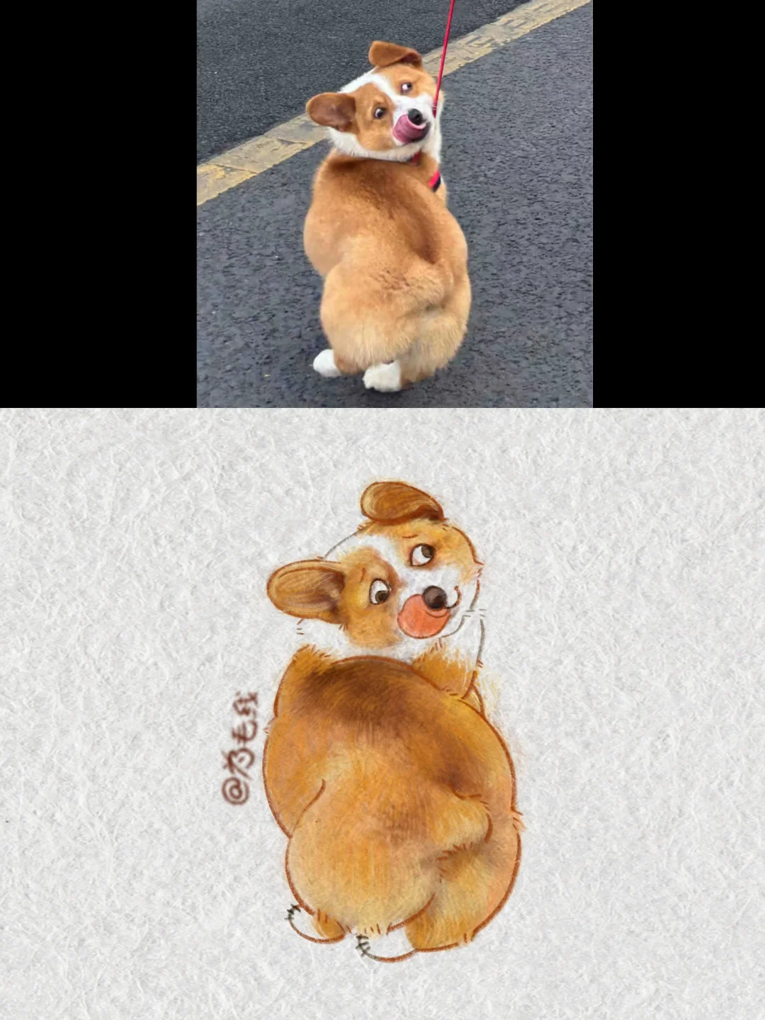 评论区抓修狗｜就是皮痒了