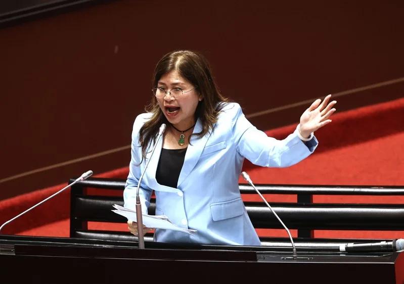 反对两年条款被破坏  麦玉珍：制度重于个人

民众党两年条款期限将至，传出立委陈