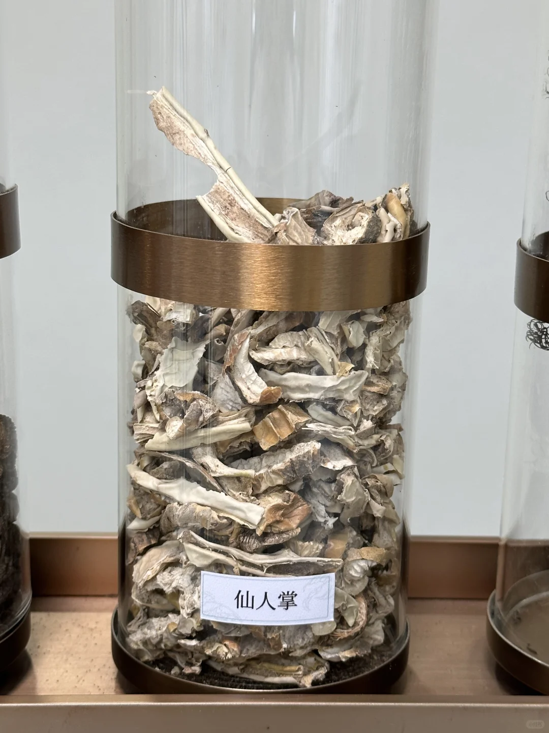 植纯提取没点实力真别做