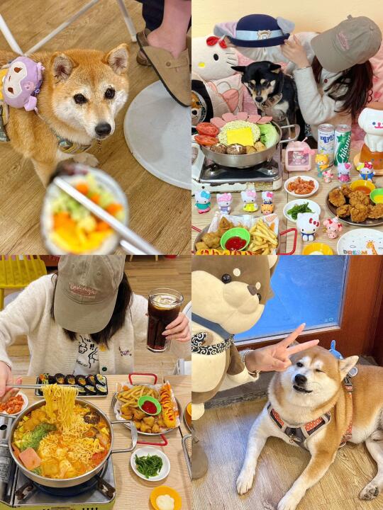 🐕‍🦺惠州这里好多修狗啊啊！能在这里撸一天